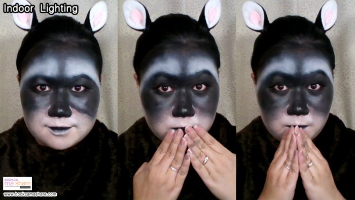 raccoons-makeup-10