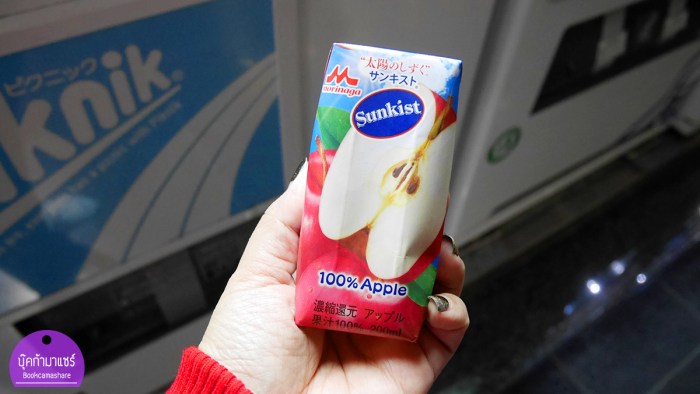 japan-food-review-2016-26