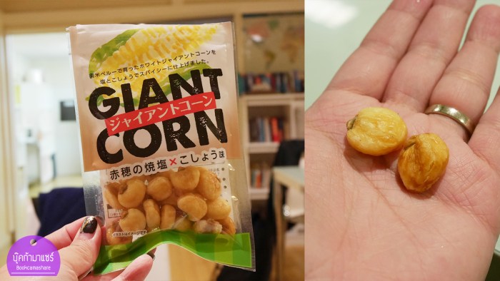 japan-food-review-2016-41