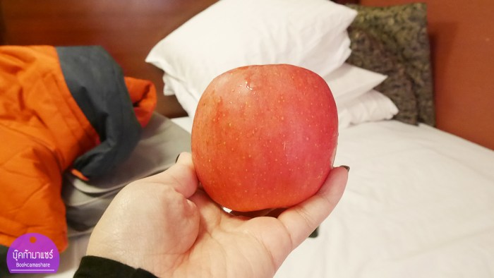 japan-food-review-2016-62