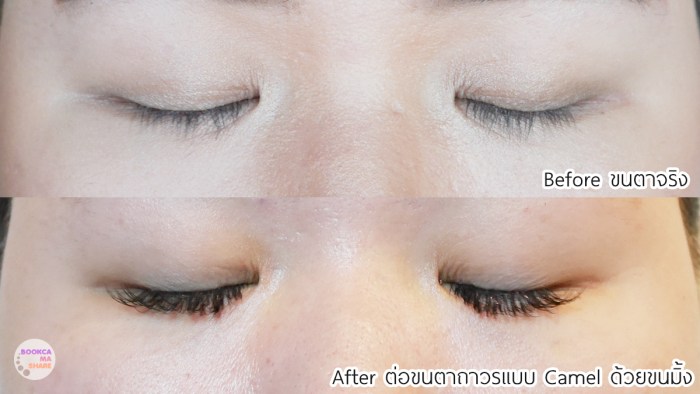 Nailvilla-and-Spacottage-12