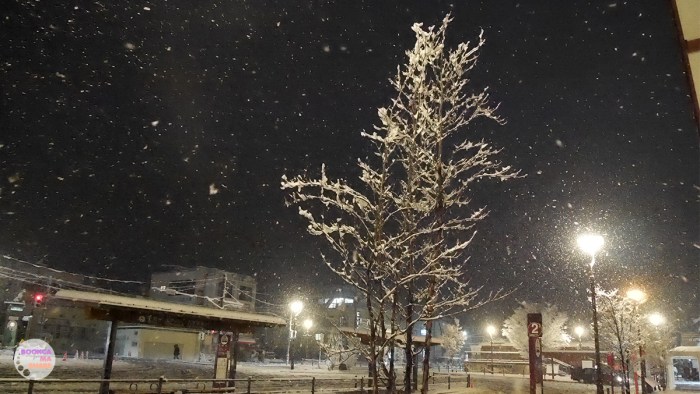 japan-trip-kanto-jr-press-wide-family-traveloka-travel-plan-02