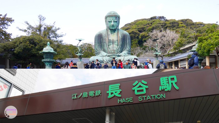 japan-trip-kanto-jr-press-wide-family-traveloka-travel-plan-10