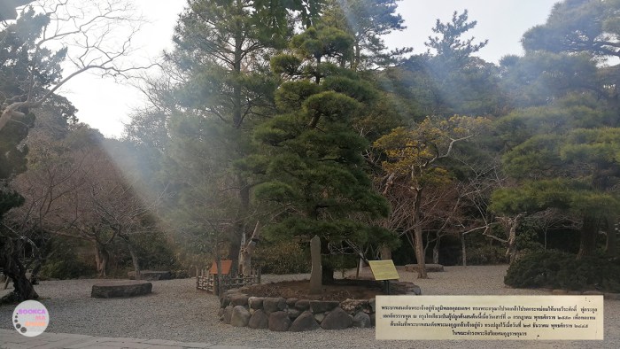 japan-trip-kanto-jr-press-wide-family-traveloka-travel-plan-11