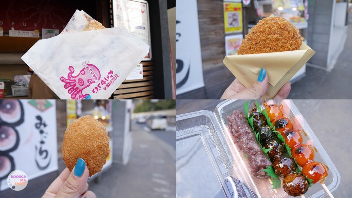 japan-trip-kanto-jr-press-wide-family-traveloka-travel-plan-12