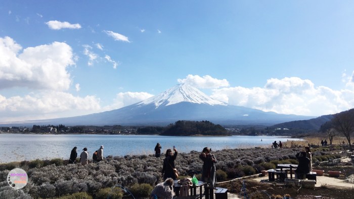 japan-trip-kanto-jr-press-wide-family-traveloka-travel-plan-18