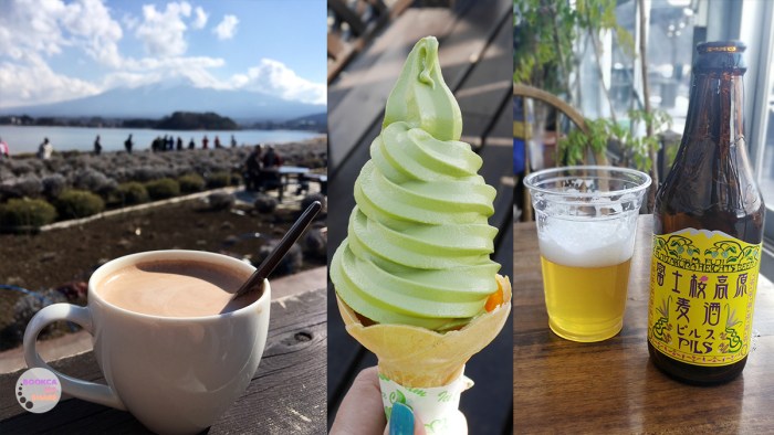 japan-trip-kanto-jr-press-wide-family-traveloka-travel-plan-19