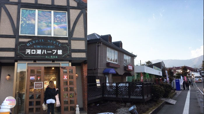 japan-trip-kanto-jr-press-wide-family-traveloka-travel-plan-21