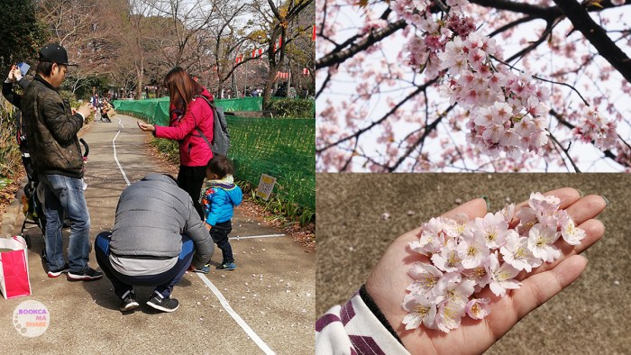 japan-trip-kanto-jr-press-wide-family-traveloka-travel-plan-25