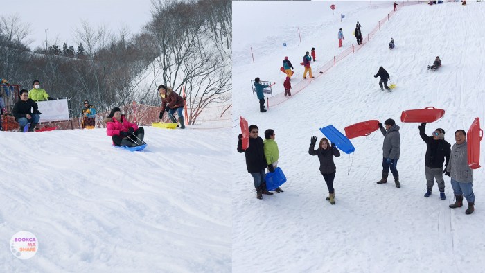 japan-trip-kanto-jr-press-wide-family-traveloka-travel-plan-29