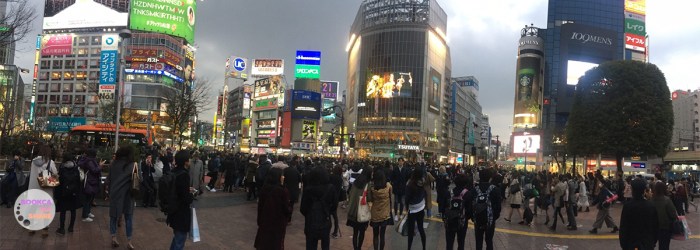 japan-trip-kanto-jr-press-wide-family-traveloka-travel-plan-30