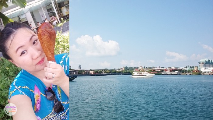 SINGAPORE-travel-food-shopping-traveloka-booking-hotel-hostel-flight-36