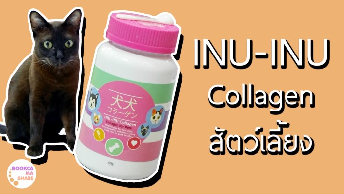 inu-inu-collagen-for-pet-pantip