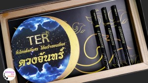 Ter-cosmetic-thai-jeban-pantip-review-MASTERPIECE-3D-WATERPROOF-AUTO-EYEBROW-PENCIL