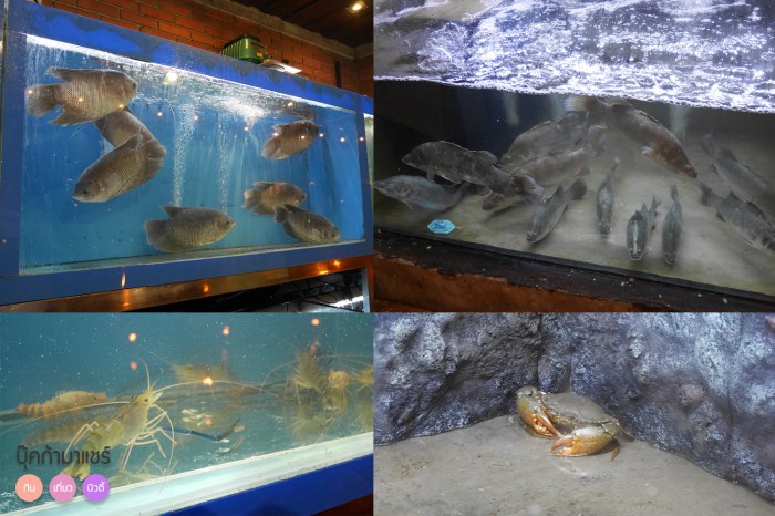 Khinlomchomsaphan-review-pantip-wongnai-food-02-1