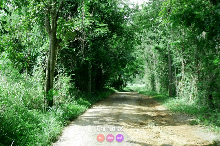 travel-thailand-review-hotel-hostel-pantip-traveloka-booing-agoda-khaoyai-nature-resort-03