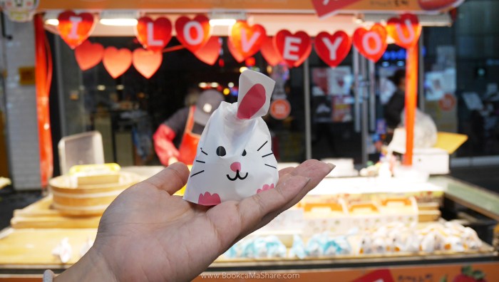 traveloka-shopping-korea-seoul-review-plan-bookcamashare-20