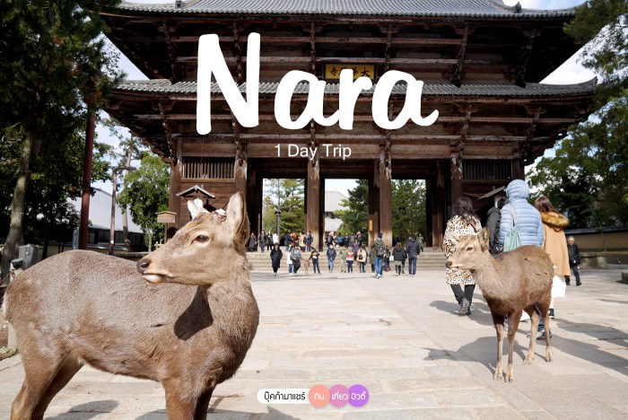 bookmashare-review-howto-blogger-jeban-pantip-wongnai-cover-01