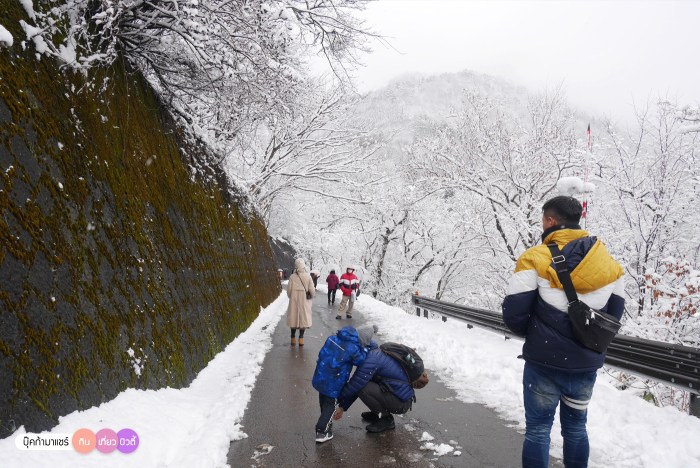 bookmashare-review-howto-blogger-travel-plan-hotel-airline-pantip-kansai-kyoto-kanazawa-osaka-takayama-shirakawago-nara-104