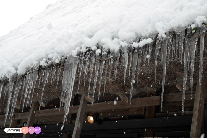 bookmashare-review-howto-blogger-travel-plan-hotel-airline-pantip-kansai-kyoto-kanazawa-osaka-takayama-shirakawago-nara-116