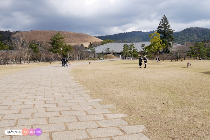 bookmashare-review-howto-blogger-travel-plan-hotel-airline-pantip-kansai-kyoto-kanazawa-osaka-takayama-shirakawago-nara-142