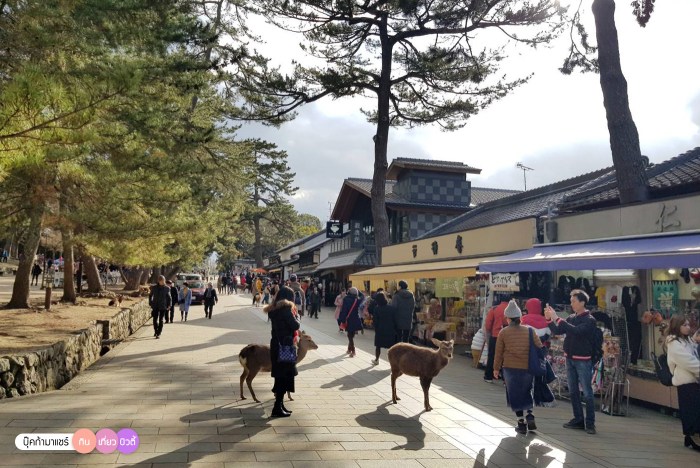 bookmashare-review-howto-blogger-travel-plan-hotel-airline-pantip-kansai-kyoto-kanazawa-osaka-takayama-shirakawago-nara-157