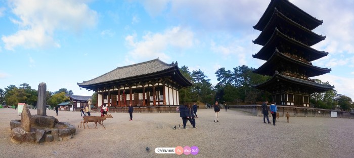 bookmashare-review-howto-blogger-travel-plan-hotel-airline-pantip-kansai-kyoto-kanazawa-osaka-takayama-shirakawago-nara-159