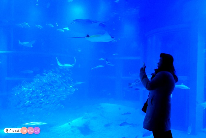 bookmashare-review-howto-blogger-travel-plan-hotel-airline-pantip-kansai-kyoto-kanazawa-osaka-takayama-shirakawago-nara-185