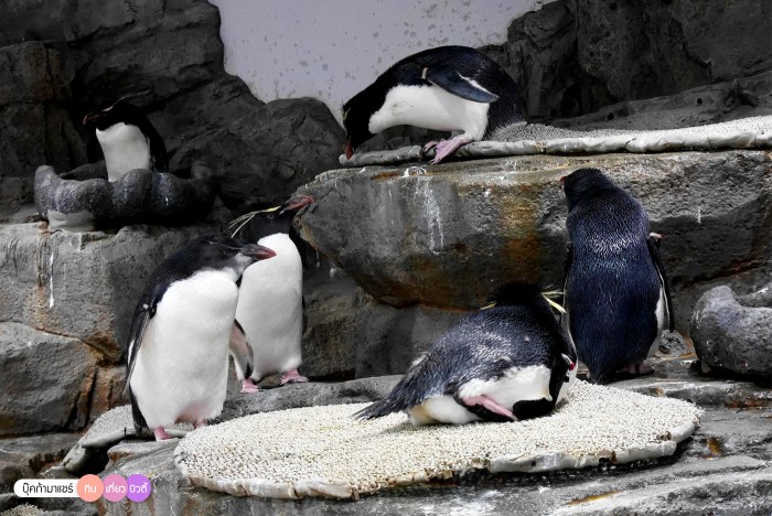 bookmashare-review-howto-blogger-travel-plan-hotel-airline-pantip-kansai-kyoto-kanazawa-osaka-takayama-shirakawago-nara-189