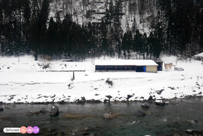 bookmashare-review-howto-blogger-travel-plan-hotel-airline-pantip-kansai-kyoto-kanazawa-osaka-takayama-shirakawago-nara-49