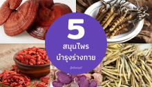 เปิดตำรา 5 สมุนไพรบำรุงร่างกาย ช่วยดูแลสุขภาพรอบด้าน Shopee